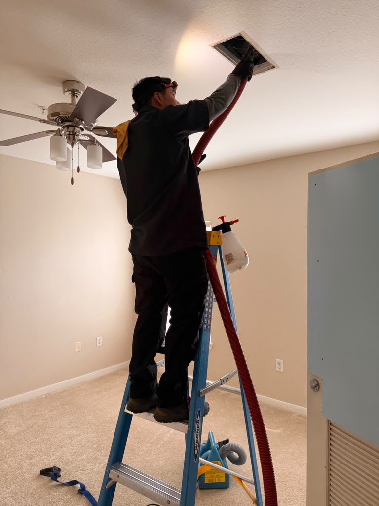 Property maintenance